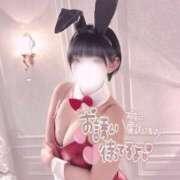 ヒメ日記 2026/02/05 14:01 投稿 ルイ バニーコレクション千葉栄町店