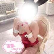 ヒメ日記 2026/02/14 19:59 投稿 ルイ バニーコレクション千葉栄町店