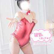 ヒメ日記 2026/02/15 17:30 投稿 ルイ バニーコレクション千葉栄町店