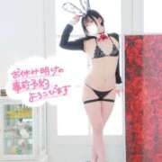 ヒメ日記 2026/05/02 14:39 投稿 ルイ バニーコレクション千葉栄町店
