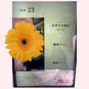 ヒメ日記 2025/05/05 14:00 投稿 さやか One More奥様　横浜関内店