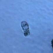 ヒメ日記 2026/02/09 17:12 投稿 さやか One More奥様　横浜関内店