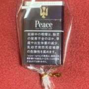 ヒメ日記 2026/04/08 04:51 投稿 ひめの もしもし亀よ亀さんよ 名古屋店