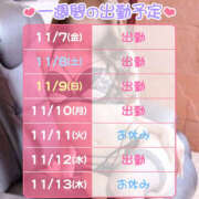 ヒメ日記 2025/11/07 21:18 投稿 かんな 恋愛マット同好会