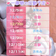 ヒメ日記 2025/12/06 07:08 投稿 かんな 恋愛マット同好会