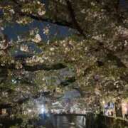 ヒメ日記 2025/04/09 10:20 投稿 れお わちゃわちゃ密着リアルフルーちゅ西船橋