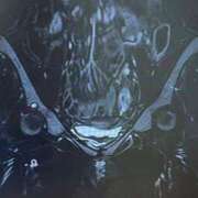 らら やっと落ち着きました😵‍💫 スチュワーデス