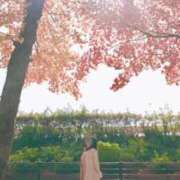 ヒメ日記 2025/12/06 12:05 投稿 愛里（あいり） DIVA-ディーバ-【DIVAグループ】