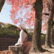 ヒメ日記 2025/12/29 08:30 投稿 愛里（あいり） DIVA-ディーバ-【DIVAグループ】