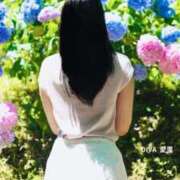 ヒメ日記 2026/05/13 21:00 投稿 愛里（あいり） DIVA-ディーバ-【DIVAグループ】