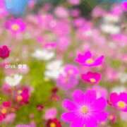 ヒメ日記 2026/10/19 06:30 投稿 愛里（あいり） DIVA-ディーバ-【DIVAグループ】
