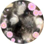 ヒメ日記 2025/02/25 08:48 投稿 まみ 北九州人妻倶楽部（三十路、四十路、五十路）