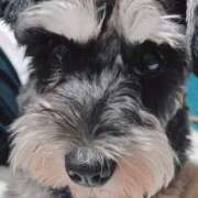 ヒメ日記 2025/03/07 07:19 投稿 まみ 北九州人妻倶楽部（三十路、四十路、五十路）