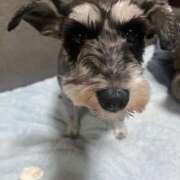 ヒメ日記 2025/03/18 10:36 投稿 まみ 北九州人妻倶楽部（三十路、四十路、五十路）