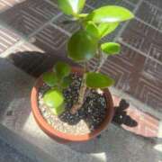 ヒメ日記 2025/05/10 13:45 投稿 まみ 北九州人妻倶楽部（三十路、四十路、五十路）