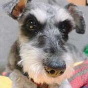 ヒメ日記 2025/08/11 07:33 投稿 まみ 北九州人妻倶楽部（三十路、四十路、五十路）