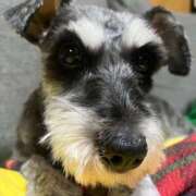 ヒメ日記 2025/09/12 14:31 投稿 まみ 北九州人妻倶楽部（三十路、四十路、五十路）