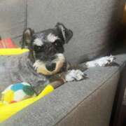 ヒメ日記 2025/09/29 22:01 投稿 まみ 北九州人妻倶楽部（三十路、四十路、五十路）