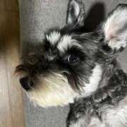 ヒメ日記 2025/10/09 03:33 投稿 まみ 北九州人妻倶楽部（三十路、四十路、五十路）