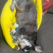 ヒメ日記 2026/01/05 17:07 投稿 まみ 北九州人妻倶楽部（三十路、四十路、五十路）