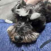 ヒメ日記 2026/01/10 15:46 投稿 まみ 北九州人妻倶楽部（三十路、四十路、五十路）