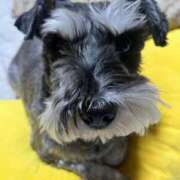 ヒメ日記 2026/02/09 19:23 投稿 まみ 北九州人妻倶楽部（三十路、四十路、五十路）