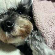 ヒメ日記 2026/02/11 06:14 投稿 まみ 北九州人妻倶楽部（三十路、四十路、五十路）