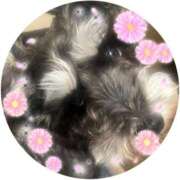 ヒメ日記 2026/02/17 06:12 投稿 まみ 北九州人妻倶楽部（三十路、四十路、五十路）