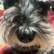 ヒメ日記 2026/02/24 09:52 投稿 まみ 北九州人妻倶楽部（三十路、四十路、五十路）