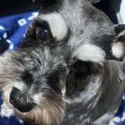 ヒメ日記 2026/03/01 09:01 投稿 まみ 北九州人妻倶楽部（三十路、四十路、五十路）