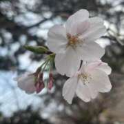 ヒメ日記 2026/03/30 13:13 投稿 まみ 北九州人妻倶楽部（三十路、四十路、五十路）