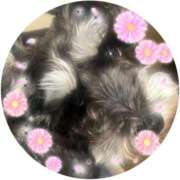 まみ おはようございます😊 北九州人妻倶楽部(三十路、四十路、五十路)