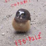 こゆき 25日から♪ モアグループ小山人妻花壇