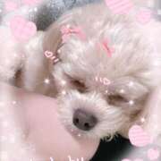 ヒメ日記 2025/11/08 18:37 投稿 みゆ 花夫人