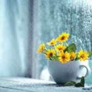 ヒメ日記 2026/02/25 21:42 投稿 みゆ 花夫人