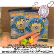 ヒメ日記 2025/10/15 09:42 投稿 三上のあ 渋谷ミルク