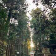 ヒメ日記 2025/01/01 21:03 投稿 白石れいか メイドin西川口（埼玉ハレ系）