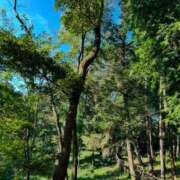 ヒメ日記 2025/01/01 21:51 投稿 白石れいか メイドin西川口（埼玉ハレ系）