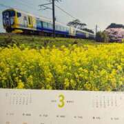 ヒメ日記 2025/03/14 12:28 投稿 白石れいか メイドin西川口（埼玉ハレ系）