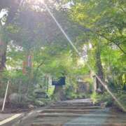 ヒメ日記 2025/06/29 07:25 投稿 白石れいか メイドin西川口（埼玉ハレ系）