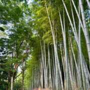 ヒメ日記 2025/09/14 15:26 投稿 白石れいか メイドin西川口（埼玉ハレ系）