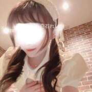 ヒメ日記 2026/04/16 16:27 投稿 白石れいか メイドin西川口（埼玉ハレ系）