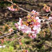 ヒメ日記 2025/03/22 15:30 投稿 リツ 厚木オイルリンパ性感　厚木メンズエステm