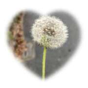 ヒメ日記 2025/06/02 20:00 投稿 リツ 厚木オイルリンパ性感　厚木メンズエステm