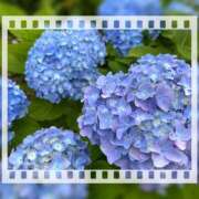 ヒメ日記 2025/06/14 19:39 投稿 リツ 厚木オイルリンパ性感　厚木メンズエステm