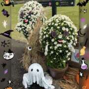 ヒメ日記 2025/10/31 15:59 投稿 リツ 厚木オイルリンパ性感　厚木メンズエステm