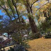 リツ 🌰🐿 厚木オイルリンパ性感　厚木メンズエステm