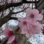 ヒメ日記 2026/03/30 23:26 投稿 リツ 厚木オイルリンパ性感　厚木メンズエステm