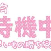 ヒメ日記 2024/07/19 19:37 投稿 ひなた 諭吉専科