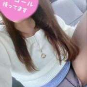 ヒメ日記 2026/02/15 15:26 投稿 七瀬つかさ LIP×LIP滋賀